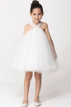 Elisabetta Franchi Bambina Abito Svasato In Tulle PlumetisLIGHT CREAM