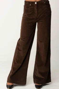 Pinko Pantaloni Wide Leg In VellutoMARRONE CASTANO